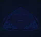 Fluorescence